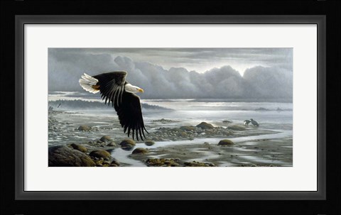 Framed Lowtide - Bald Eagle Print