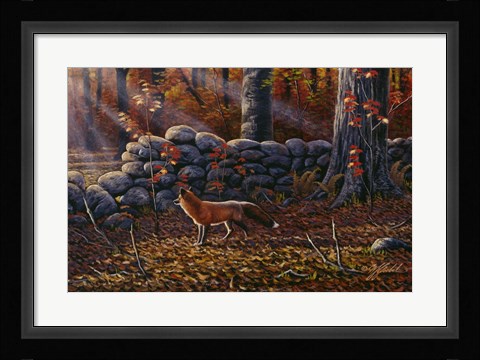 Framed Autumn Reds - Red Fox Print