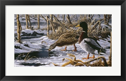 Framed Spring Thaw - Mallards Print