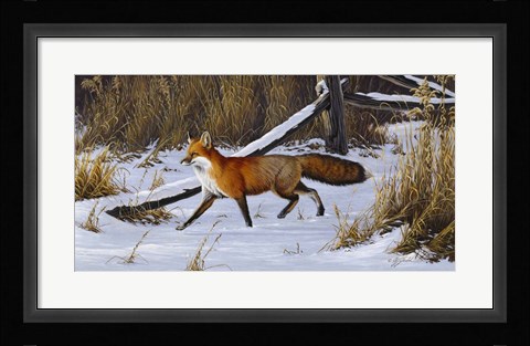 Framed Fox Trot  - Red Fox Print