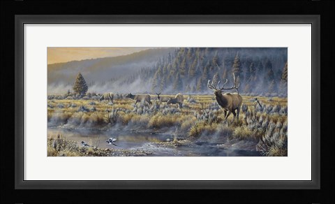 Framed Autumn Classic - Elk Print