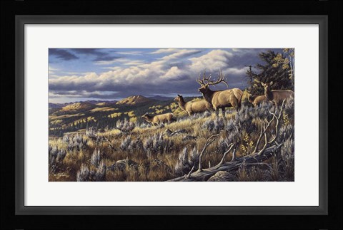 Framed King Of The Hill - Elk Print
