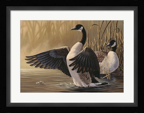 Framed 1994 Canada Geese Print