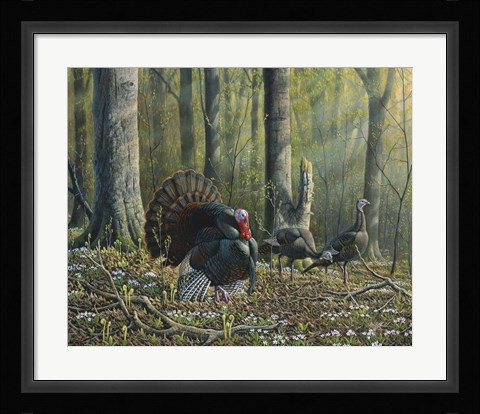 Framed Spring Beauties Print