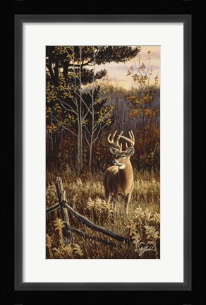 Framed Autumn Whitetail Print