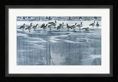 Framed Midwinter Thaw Print