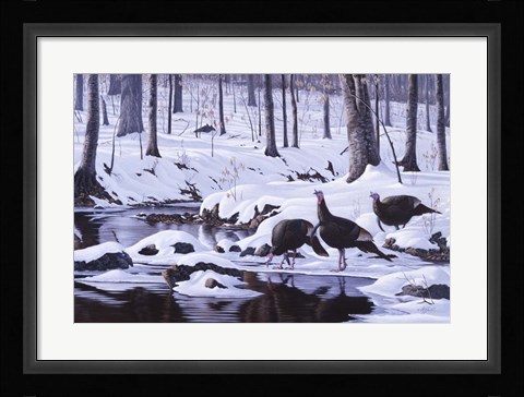Framed Hardwood Creek - Wild Turkeys Print