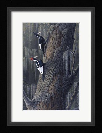 Framed Legends Of The Pearl Print