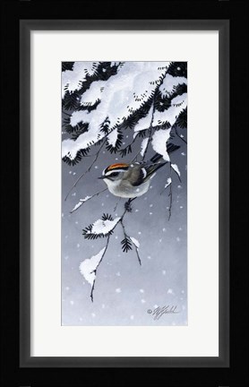 Framed Winter Sprite - Golden Crown Kinglet Print