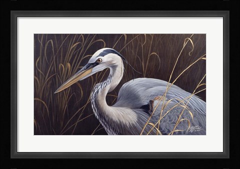Framed Great Blue Heron Print