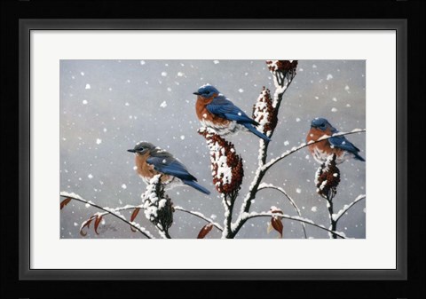 Framed Winter Trio Print