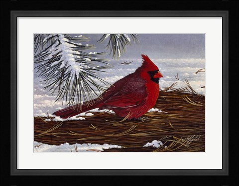 Framed Under The Pine Print