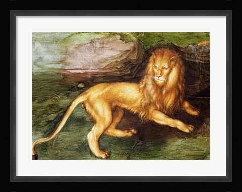 Framed Lion Print