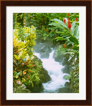 Framed Waterfall, Tabacon, Costa Rica Print