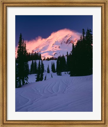 Framed Mt Rainier National Park, Washington State Print