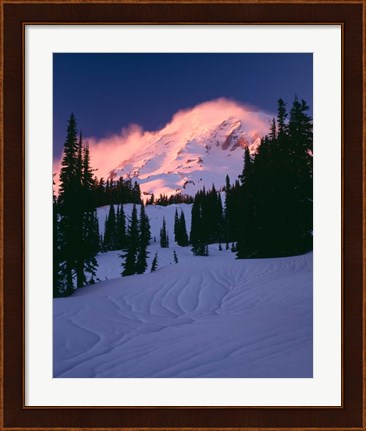 Framed Mt Rainier National Park, Washington State Print