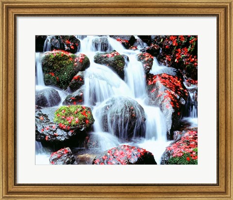 Framed Waterfalls, Kyoto, Japan Print