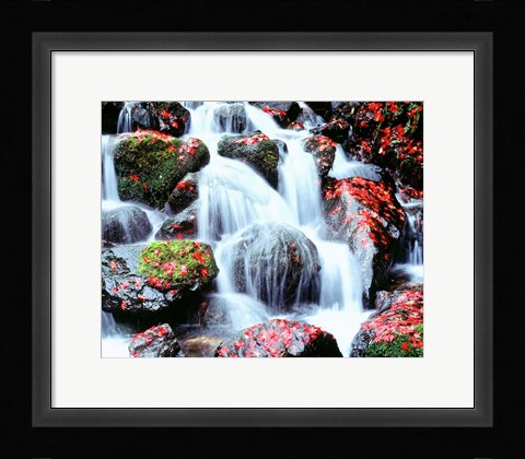 Framed Waterfalls, Kyoto, Japan Print