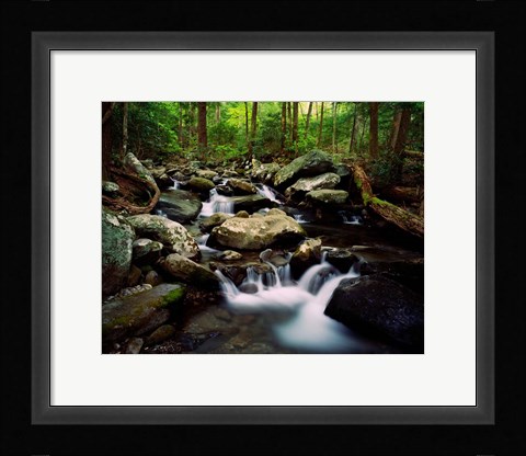 Framed LeConte Creek, Great Smoky Mountains National Park Print