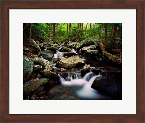 Framed LeConte Creek, Great Smoky Mountains National Park Print