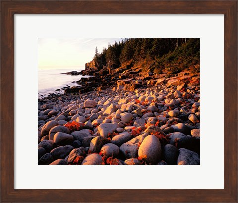 Framed Maine, Acadia National Park Print