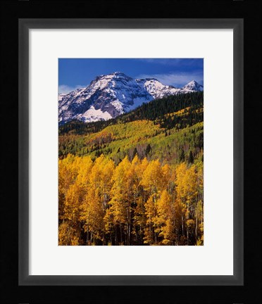 Framed Uncompahgre National Forest, CO Print
