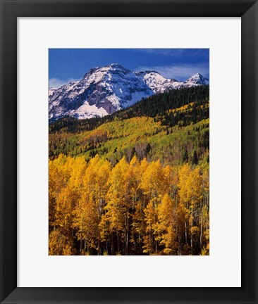 Framed Uncompahgre National Forest, CO Print