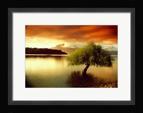 Framed South Island, New Zealand Print