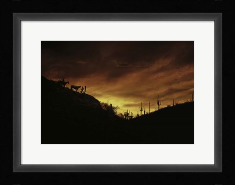 Framed Sunset over The Sonoran Desert, AZ Print