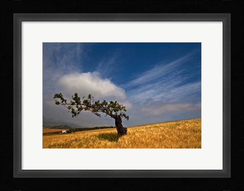 Framed Malaga Province, Andalusia, Spain Print