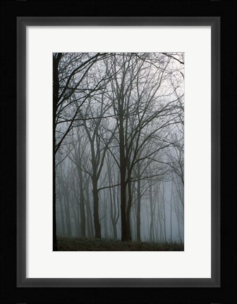 Framed Finger Lakes Region, New York Print