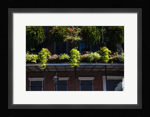 Framed French Quarter, New Orleans, Louisiana Print