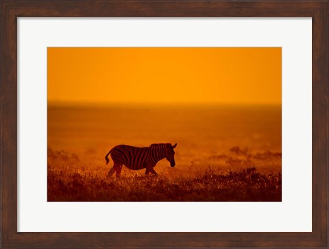 Framed Zebra in a Field, Etosha National Park, Namibia Print