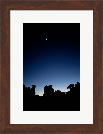Framed Quiver Tree Forest at Night, Namibia Print