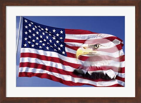 Framed Bald Eagle on Flag Print
