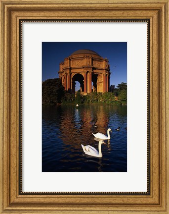 Framed Swans and Palace of Fine Arts Print