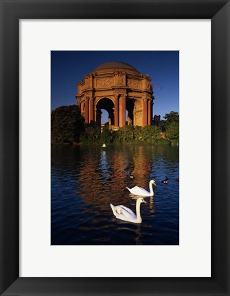 Framed Swans and Palace of Fine Arts Print
