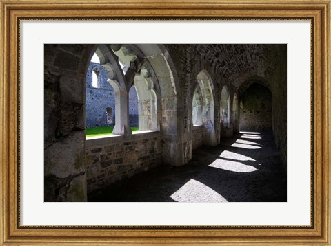 Framed Cloisters in Killmallock 12th Century Dominican Friary, Co Limerick, Ireland Print