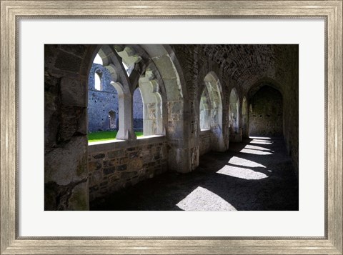 Framed Cloisters in Killmallock 12th Century Dominican Friary, Co Limerick, Ireland Print