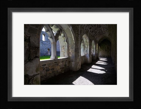 Framed Cloisters in Killmallock 12th Century Dominican Friary, Co Limerick, Ireland Print