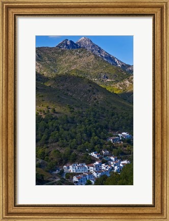 Framed El Acebuchal, Malaga, Spain Print