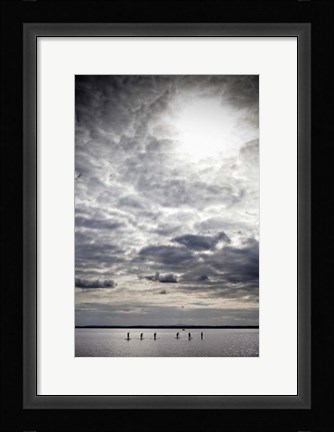 Framed Paddle Boarders on Strangford Lough, Northern Ireland Print