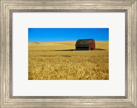 Framed Red barn in wheat field, Palouse region, Washington, USA. Print