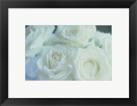 Framed Flowers Roses Print