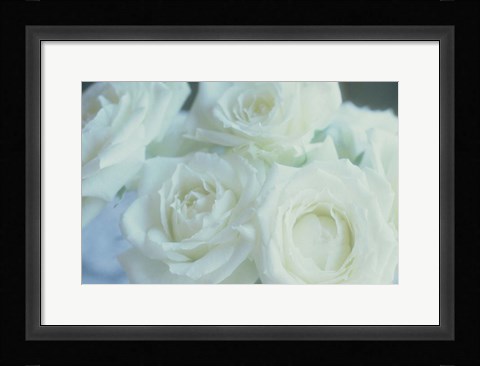 Framed Flowers Roses Print