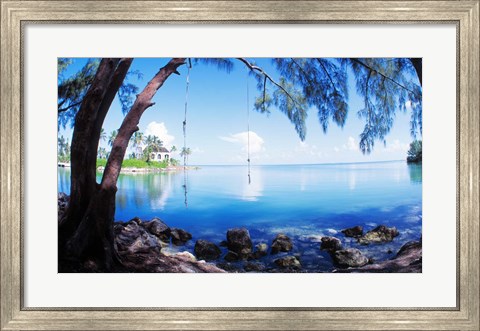 Framed Rope Swing Over Water, Florida Keys Print