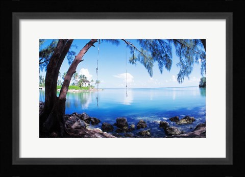 Framed Rope Swing Over Water, Florida Keys Print
