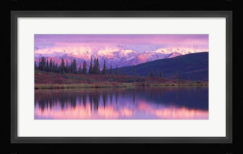 Framed Alaska Denali National Park Print