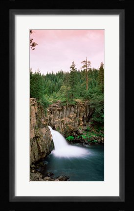 Framed Forest Waterfall, Shasta, California Print