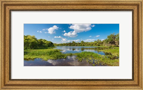Framed Deer Prairie Creek Preserve, Sarasota County, Venice, Florida Print